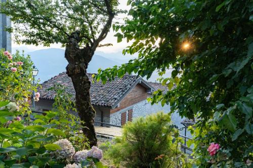 Pieve Fosciana Villa | Villa Loris - History & Luxury