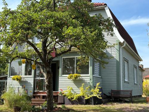 Ruda House | Villa Luis