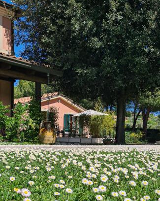 Camerano Apartment | Villa Rosa Augusta