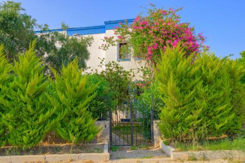 Golturkbuku Villa | Villa Saklıbahçe - Bodrum