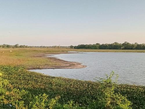 Medawachchiya Bed & Breakfast | Village Garden Inn