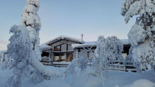 Saariselka Villa | Villas Karhunpesä
