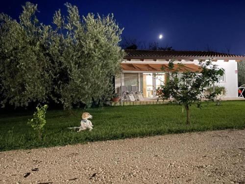 Pisticci House | Villetta Bianca Pisticci-Matera