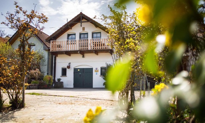 Novy Saldorf-Sedlesovice Apartment | Vinařský apartmán Špalek