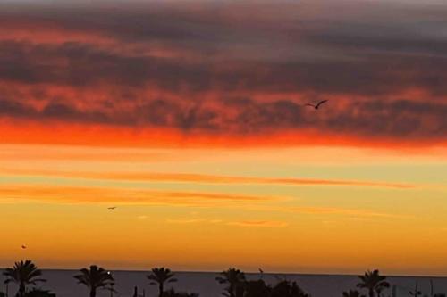 Vinaros Apartment | Vinaros Coquet appartement vue mer