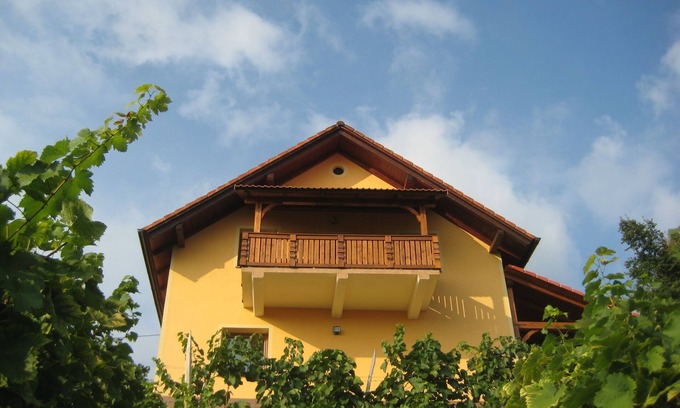 Srednje Grcevje House | Vineyard cottage Ucman