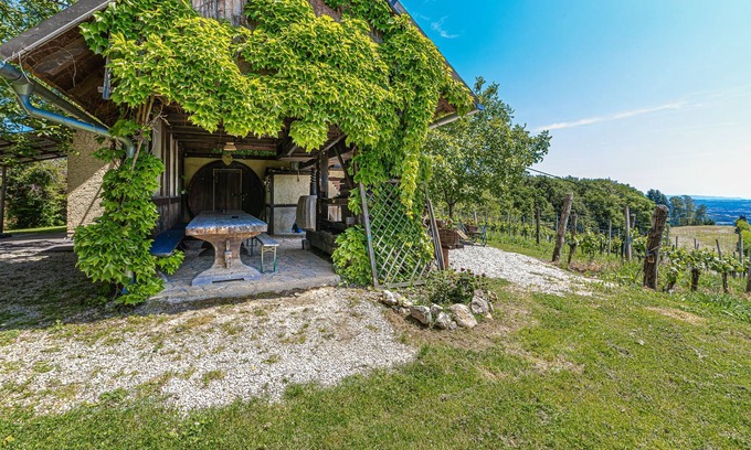 Brezice House | Vineyard Home Martin With Sauna, Bizeljsko, Slovenia