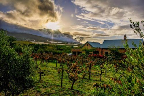 Riebeek Kasteel House | Vineyard Views Country House