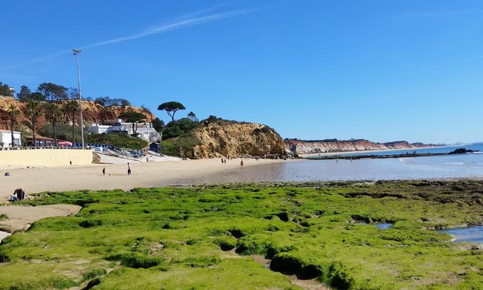 Olhos D'Agua Apartment | Vista das Ondas Olhos de Agua