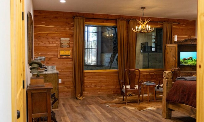Valley View Cabin | Waggoner - Stay with our Giraffe, Puzzles and Jigsaw!