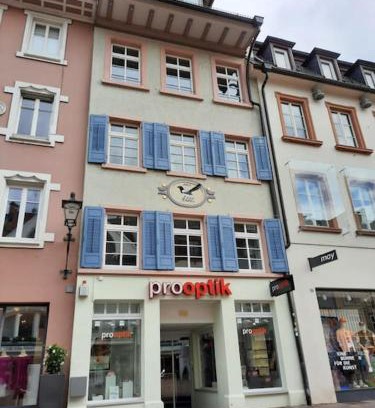 Waldshut-Tiengen Apartment | Waldshut -Kaiser55