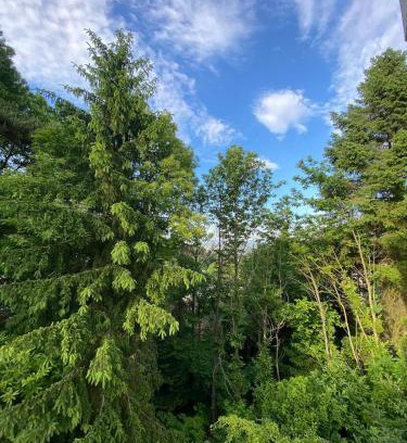 Neustadt-Hambach Apartment | Waldzeit Apartment Natur Komfort und Self Check-in