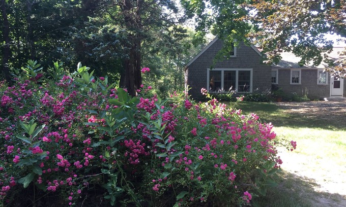 Eastham Apartment | Walk to Coast Guard Beach! Peaceful Vacation