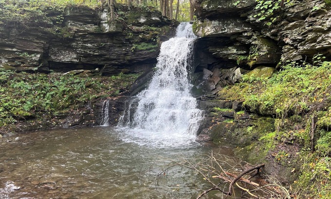 East Branch House | Waterfall View from Secluded 4 Bed Cabin in East Branch, NY with Mountain Views