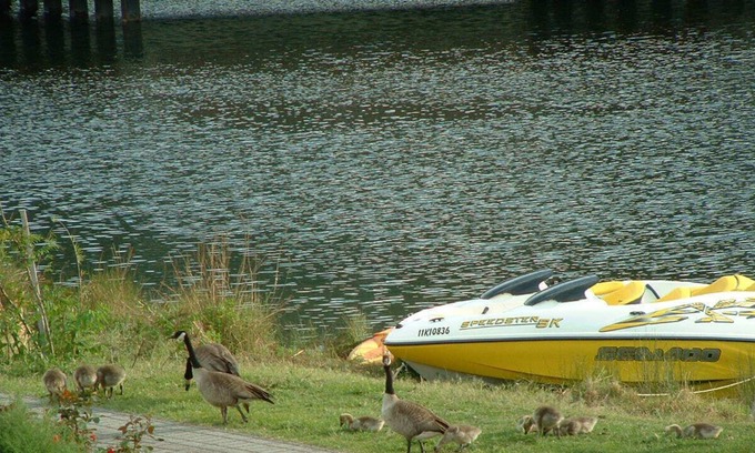 Okanagan-Similkameen Condo | Waterfront Luxury Condo With 3 Bedrooms And Pool