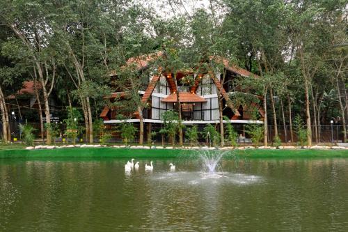 Mananthavady House | Wayanad Vista Palm View Villas