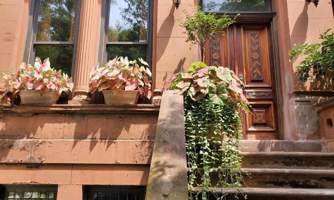 Central Park North Bed & Breakfast | West 119th Guest Suites