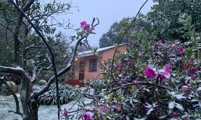 Greytown Apartment | Whinstone Farm