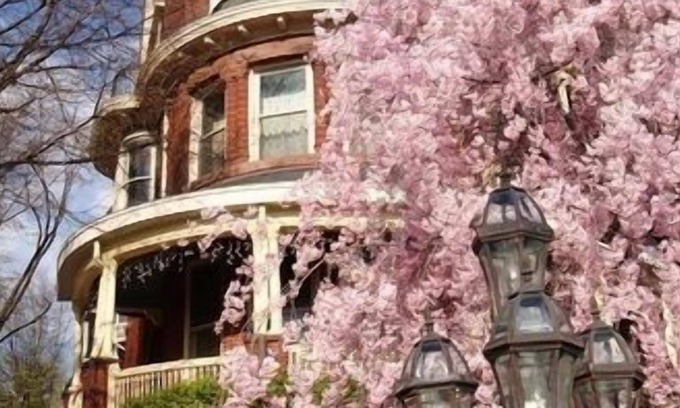 Downtown Baltimore Bed & Breakfast | Wilson House Bed & Breakfast