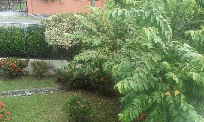 Bonne Terre Apartment | Windy1Baywalk