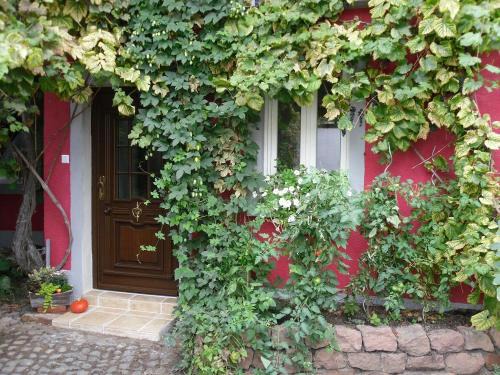 Neustadt-Geinsheim Apartment | Winzeranwesen - Weingut Christian Eberley- FeWo II MINDESTAUFENTHALT 4 NÄCHTE - MINIMUM STAY 4 NIGHTS