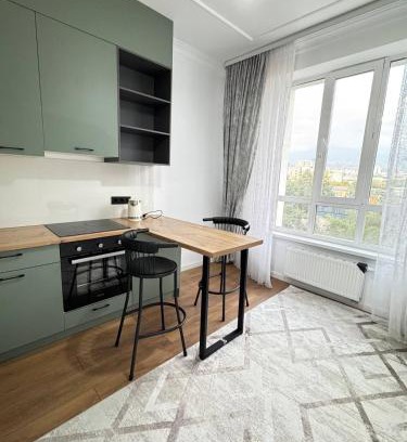 Almaty Apartment | with a view of the mountains in the very center of the city near Arbat