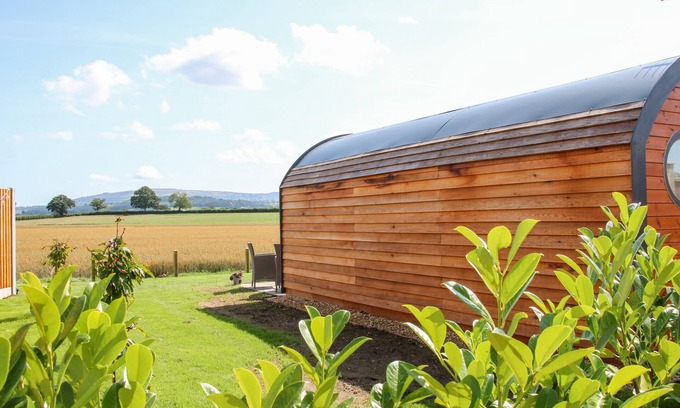 Diddlebury Cottage | Withy Willows