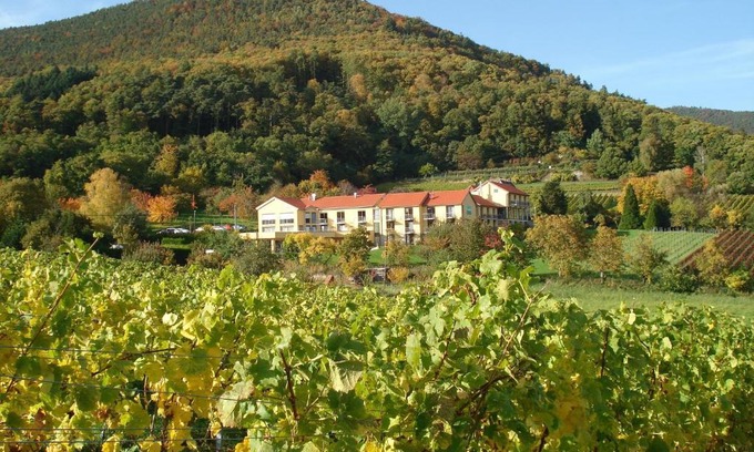 Weyher Hotel | Wohlfühlhotel Alte Rebschule