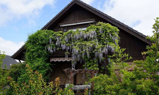 Wendorf Apartment | Wohnung an der Ostseeküste