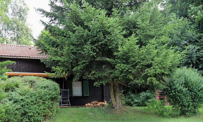 Frankenburg House | Wonderful private villa for 4 guests with WIFI, TV, patio, pets allowed and parking