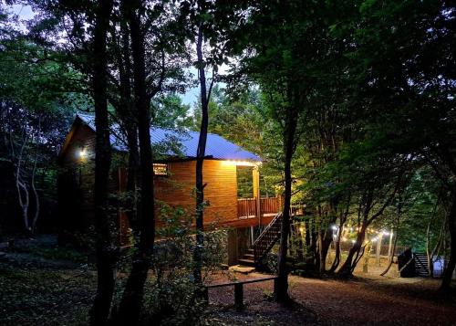 Mtskheta House | WoodLand Tskhvarichamia