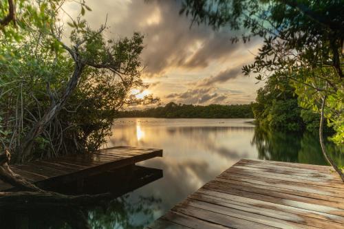 Zona Hotelera Cabin | Yaxchen Tulum Cabañas & Cenote