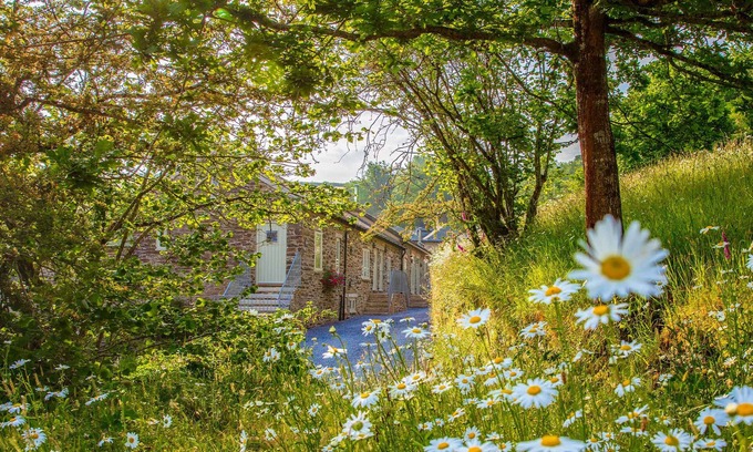 Totnes Cottage | Yennadon Cottage