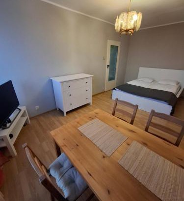 Stogi Apartment | Zalesie przy morzu
