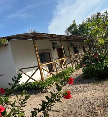 Uroa Apartment | Zanzllywood Uroa Beach Apartments