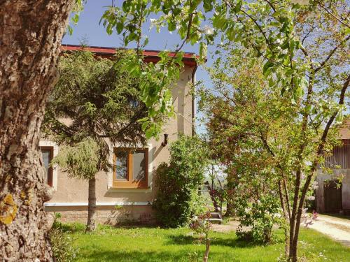 Plajny Bed & Breakfast | Zielone Wzgórze - piętro gościnne