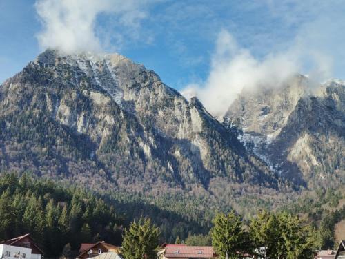 Busteni House | Zoso home