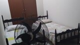 Basic Single Room