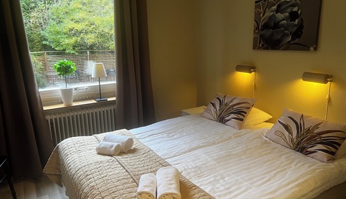 Basic Double Room