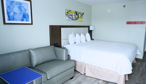 Deluxe Room, 1 King Bed, Non Smoking (Walk-in Shower;with Sofabed)