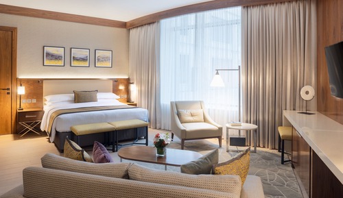 Superior Studio, 1 King Bed, City View