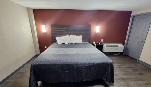 Suite Single Bed (1 King)