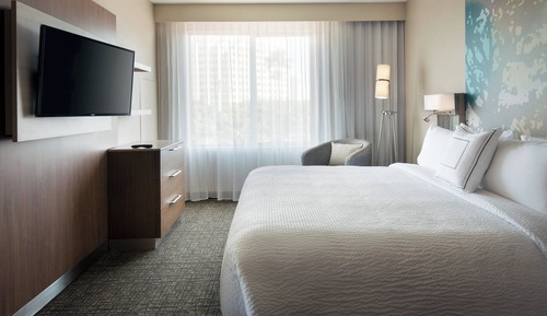 Suite, 1 Bedroom, City View (Mobility/Hearing Access, Roll-In Shwr)