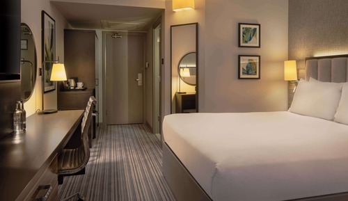 Deluxe Room, 1 Queen Bed
