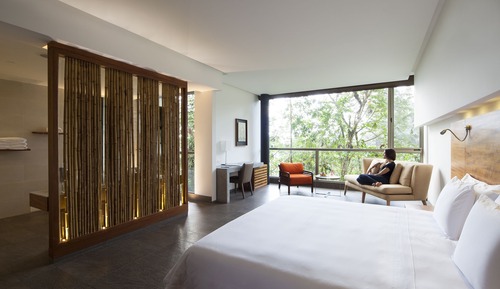 Luxury Suite, 1 King Bed