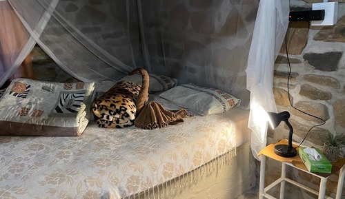 Chalet (Hippo Two)