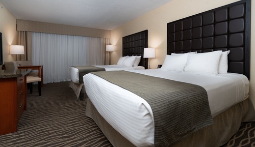 Dog Friendly Standard Room, 2 Queen Beds