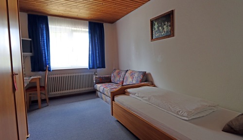 Standard Single Room, 1 Large Twin Bed, Non Smoking, Mountain View