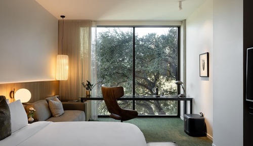 Suite, 1 King Bed (Greenhouse)