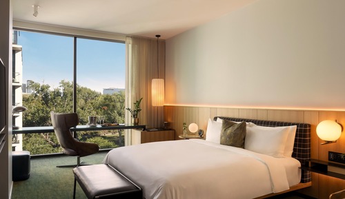 Room, 1 King Bed, Park View